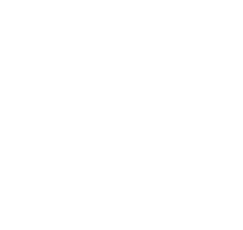 30+ year of excellence